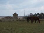 DSCF9237