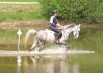 titou_trec_02