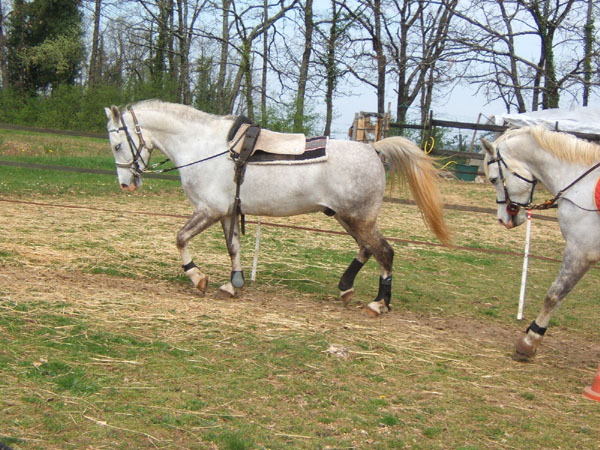 travailrond08