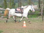 travailrond06