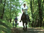 DSCF3847_bis