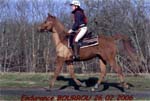 20060226_bourrou_amelie_mahan