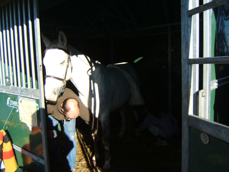 20061104et05_Lalbenque0080