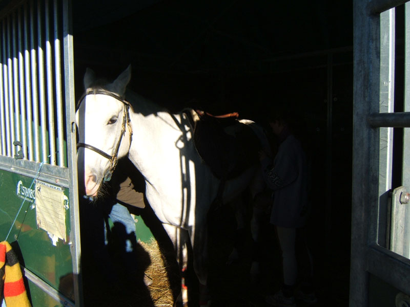 20061104et05_Lalbenque0100