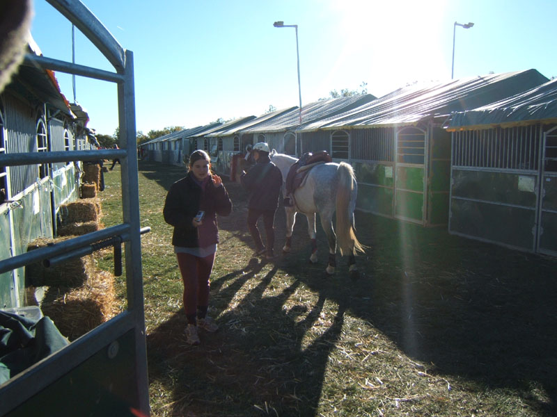 20061104et05_Lalbenque0160