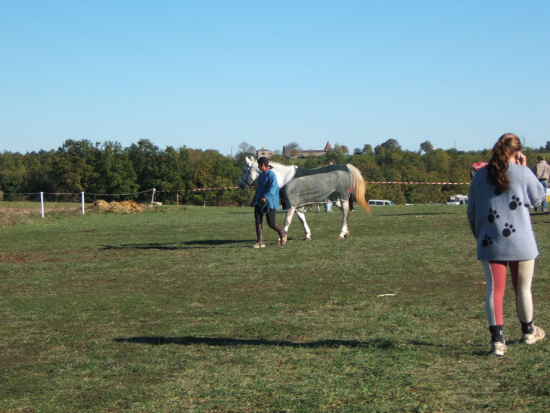 20061104et05_Lalbenque0330