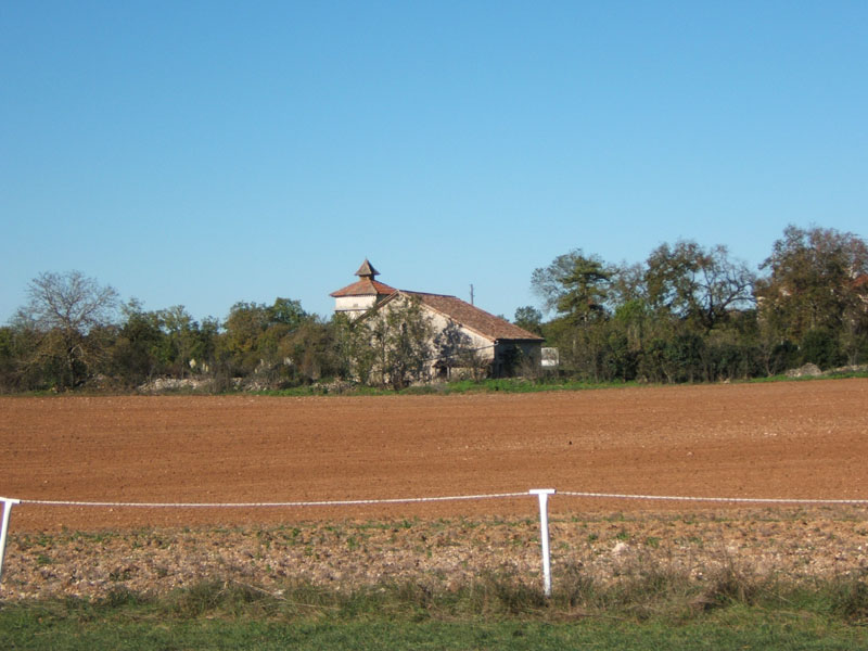 20061104et05_Lalbenque0340