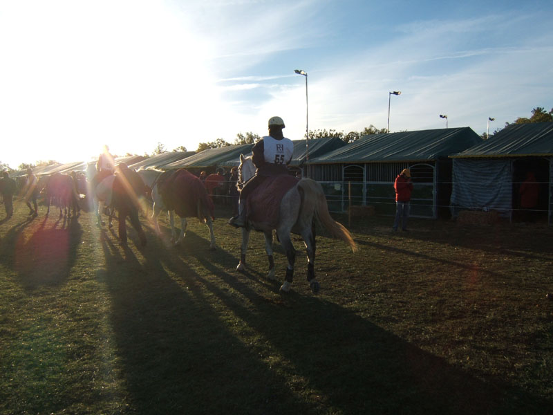 20061104et05_Lalbenque0370