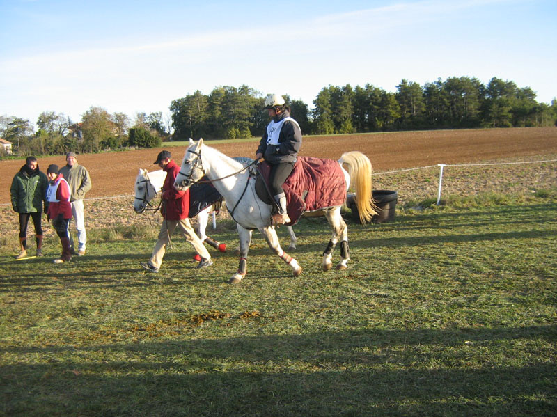 20061104et05_Lalbenque0385