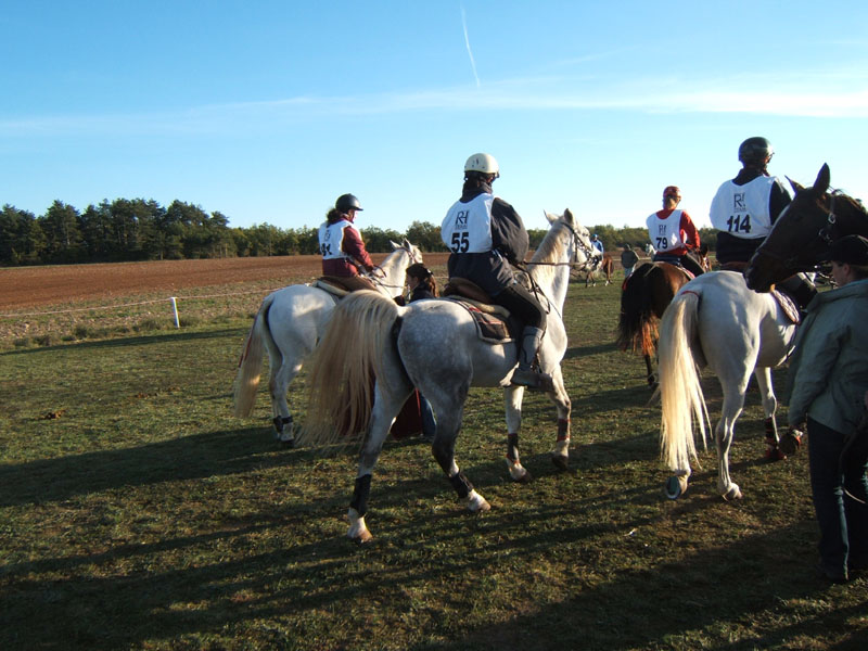 20061104et05_Lalbenque0410