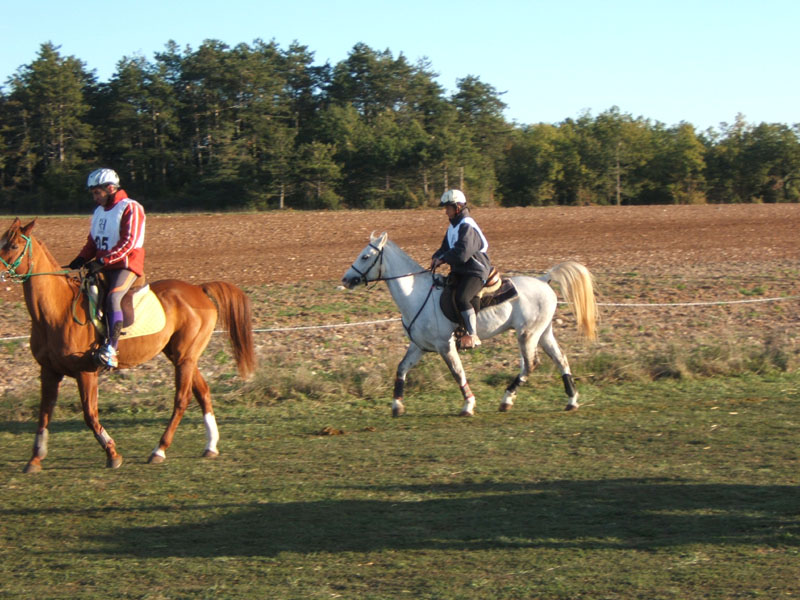 20061104et05_Lalbenque0420