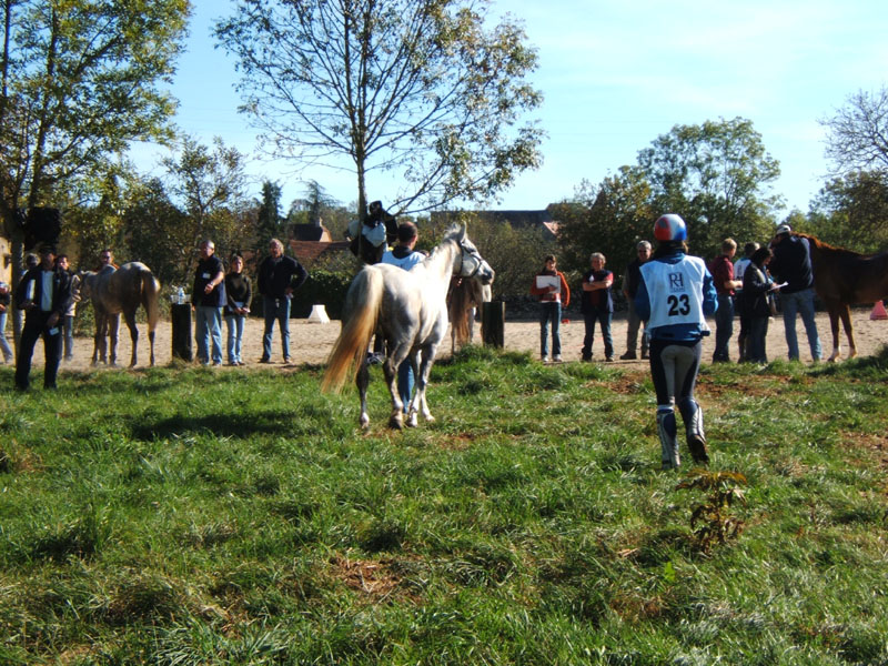 20061104et05_Lalbenque0680