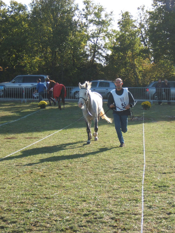 20061104et05_Lalbenque0790
