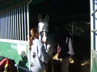 20061104et05_Lalbenque0290