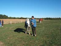20061104et05_Lalbenque0300