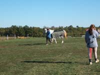 20061104et05_Lalbenque0330