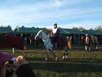 20061104et05_Lalbenque0360