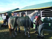 20061104et05_Lalbenque0840