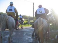 20061104et05_Lalbenque1022