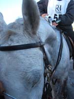 20061104et05_Lalbenque1030