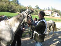 20061104et05_Lalbenque1044