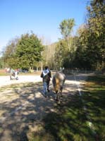 20061104et05_Lalbenque1046