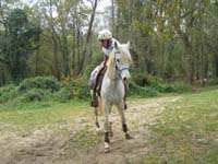 20070415_trec_dptl_bretagne_de_mar0025