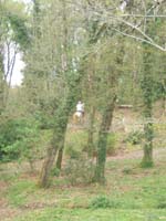20070415_trec_dptl_bretagne_de_mar0054