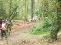 20070415_trec_dptl_bretagne_de_mar0062