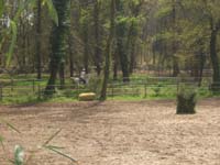 20070415_trec_dptl_bretagne_de_mar0069