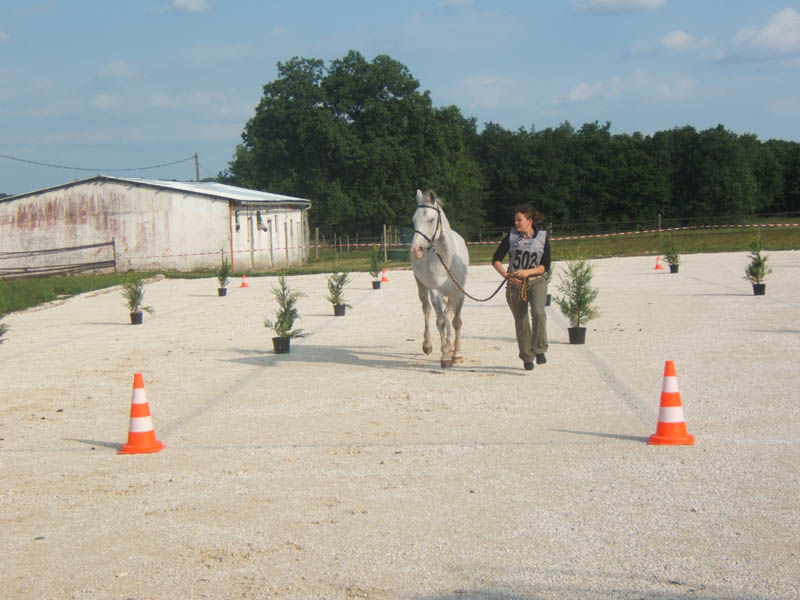 20070603_sainte_croix_de_mareuil_0018