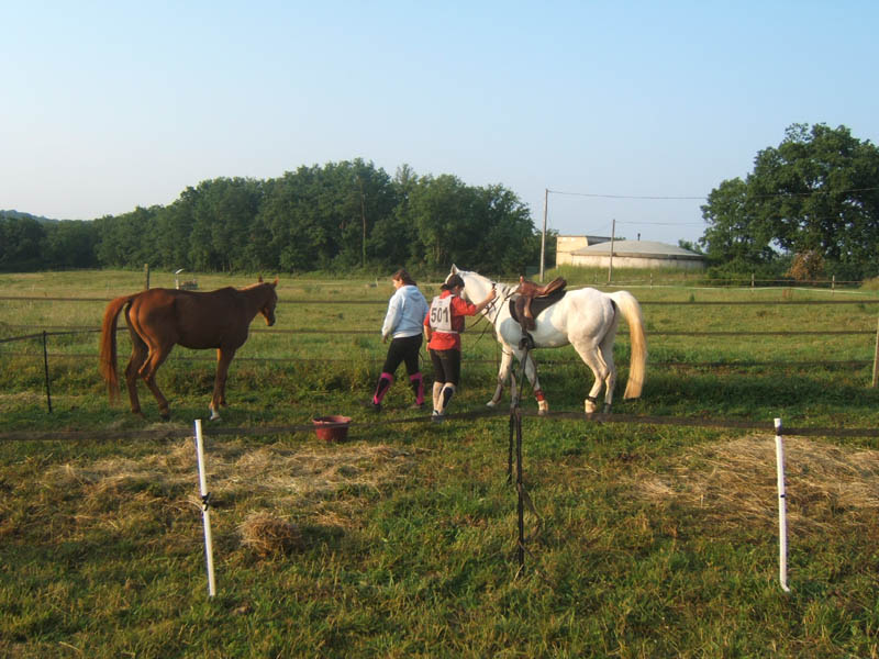 20070603_sainte_croix_de_mareuil_0037