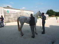 20070603_sainte_croix_de_mareuil_0010