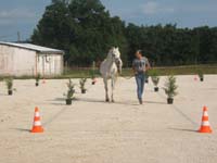 20070603_sainte_croix_de_mareuil_0012