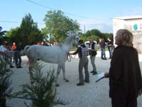 20070603_sainte_croix_de_mareuil_0014