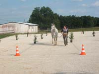 20070603_sainte_croix_de_mareuil_0018