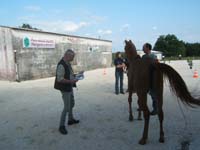 20070603_sainte_croix_de_mareuil_0020