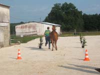 20070603_sainte_croix_de_mareuil_0026