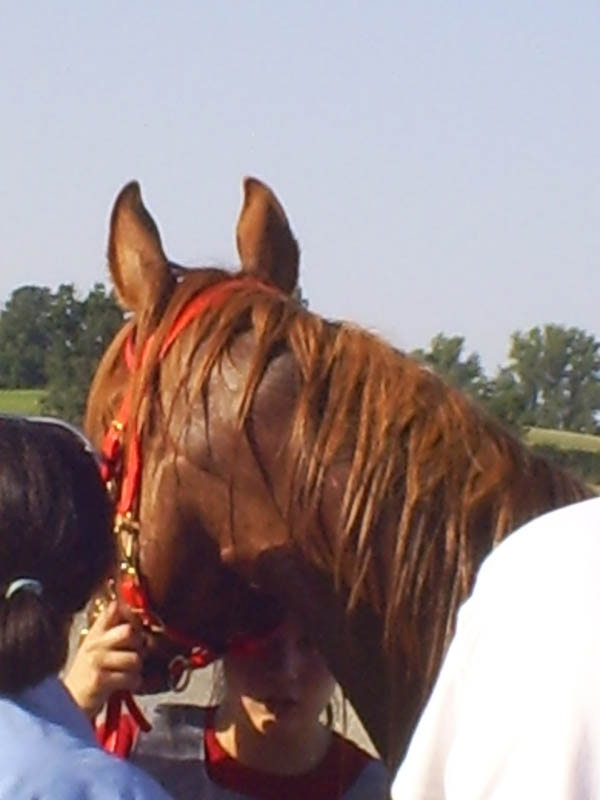 20070805_CastillonesCEPB0035