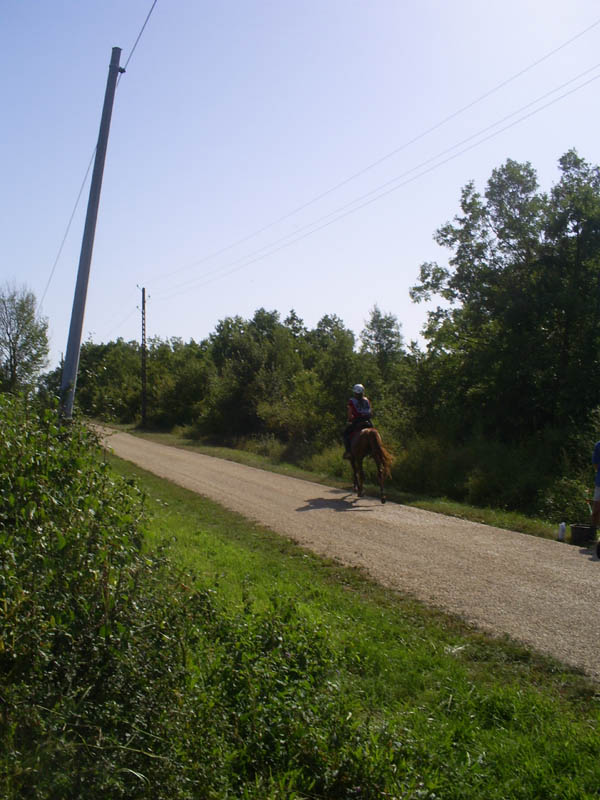 20070805_CastillonesCEPB0058