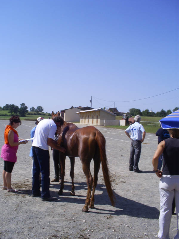20070805_CastillonesCEPB0067