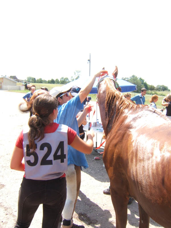 20070805_castillonnes_40_90_km0063