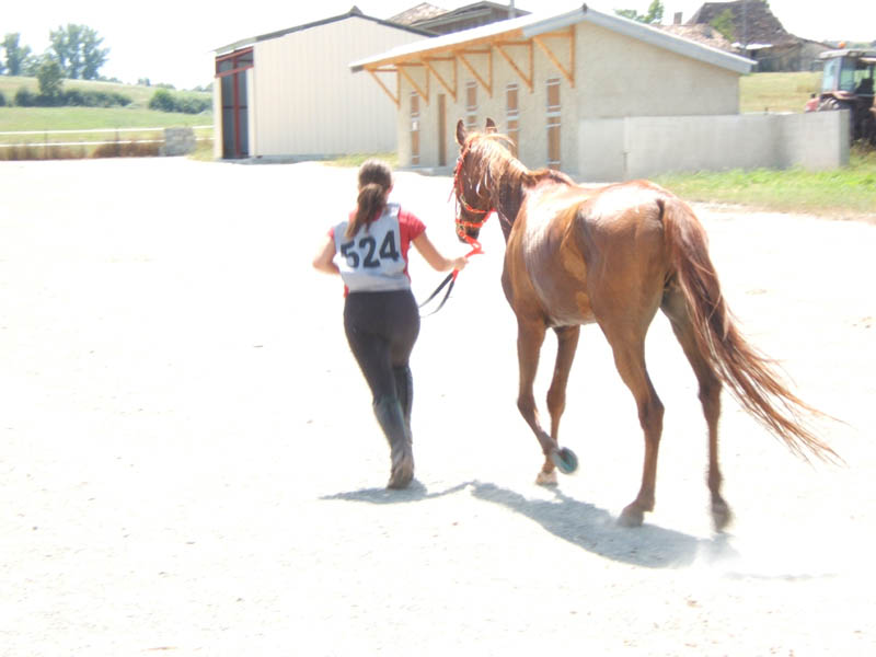 20070805_castillonnes_40_90_km0067