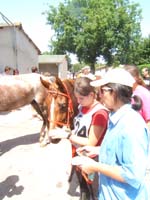 20070805_castillonnes_40_90_km0065