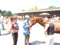 20070805_castillonnes_40_90_km0066