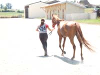 20070805_castillonnes_40_90_km0067