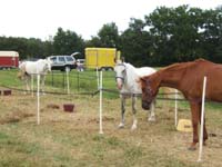 20070805_castillonnes_40_90_km0086