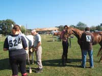20071014_vergt_de_biron_0088