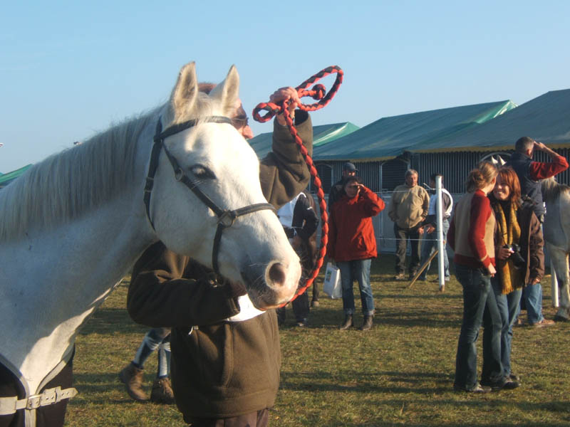 20071103_concoursLalbenque0002