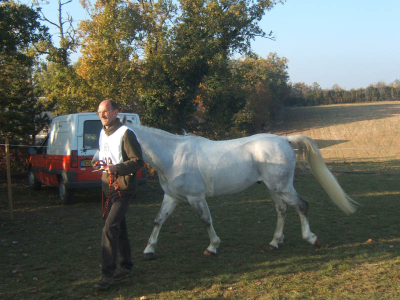 20071103_concoursLalbenque0004